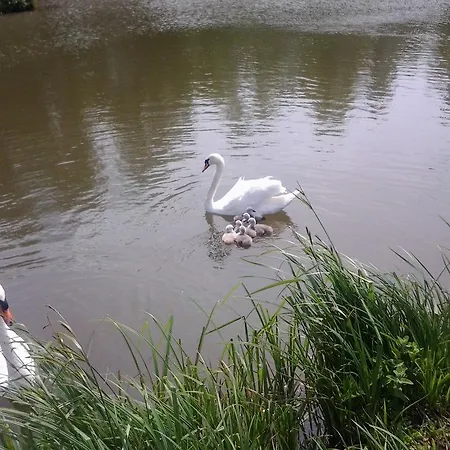 Luksusowy namiot Yourtes Du Moulin Bertrand