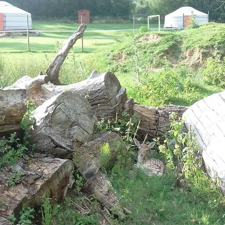Luksusowy namiot Yourtes Du Moulin Bertrand