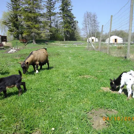 Luksusowy namiot Yourtes Du Moulin Bertrand *