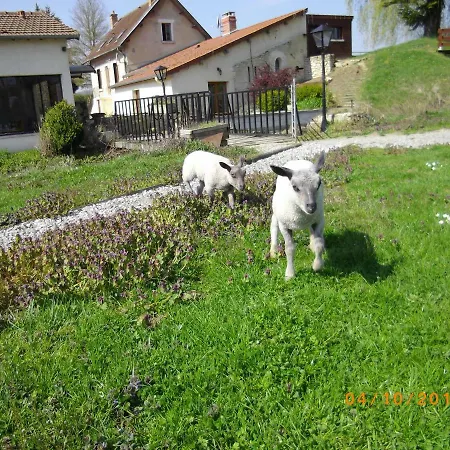 Yourtes Du Moulin Bertrand Luksusowy namiot